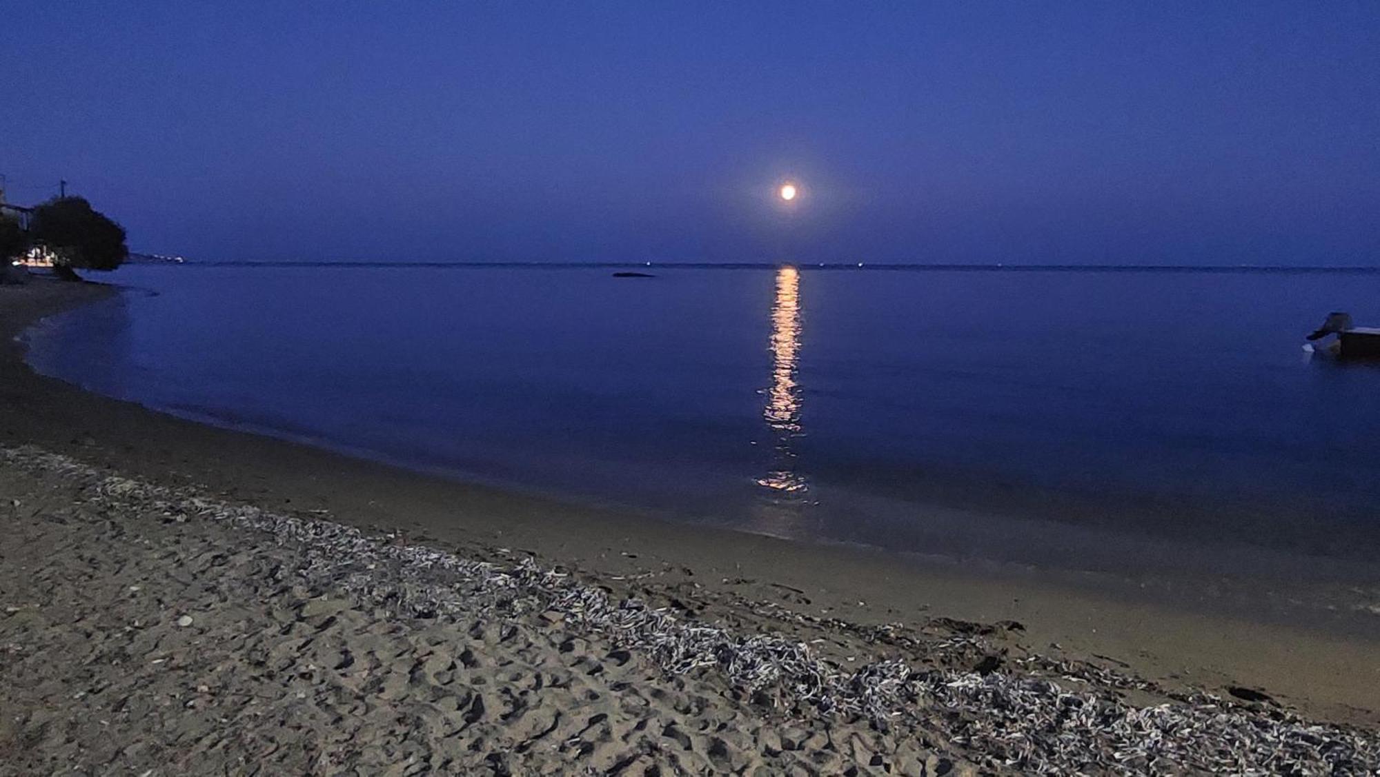 Fotis Beach Apartment At Komi Коми Экстерьер фото